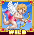 True Love Spielautomat Wild
